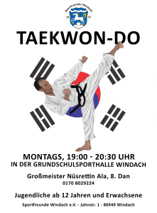 Taekwon-Do Erwachsene