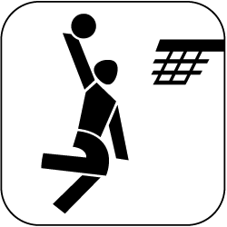 Piktogramm Basketball